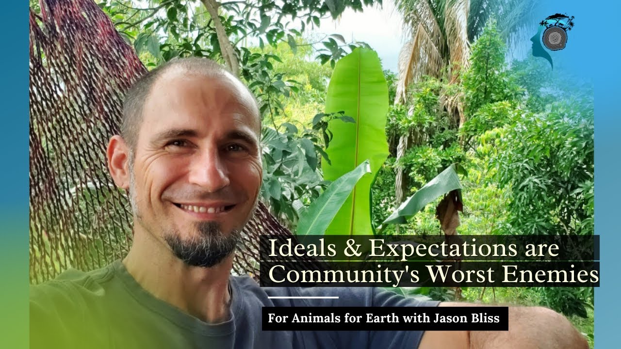 Ideals and Expectations are Community's Worst Enemies