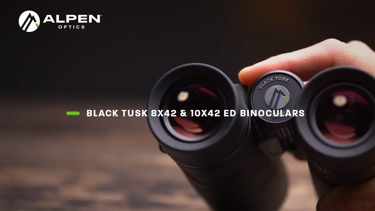 ALPEN OPTICS Black Tusk 8x42 And 10x42 ED Binoculars YouTube alpen-optics-black-tusk-8x42-and-10x42-ed-binoculars-youtube