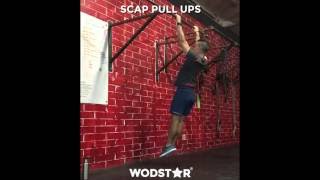 How to Do Scap Pull Ups by Wodstar