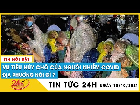 Ubnd Huyện Trần Văn Thời - Chủ tịch UBND huyện Trần Văn Thời: tiêu hủy đàn chó mèo là cần thiết để chống dịch | TV24h