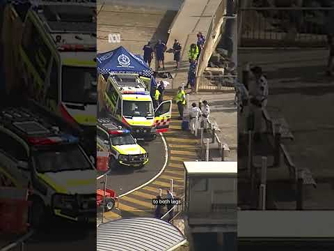 Video Boy in critical condition after shark attack at Sydney Harbour beach | ABC NEWS