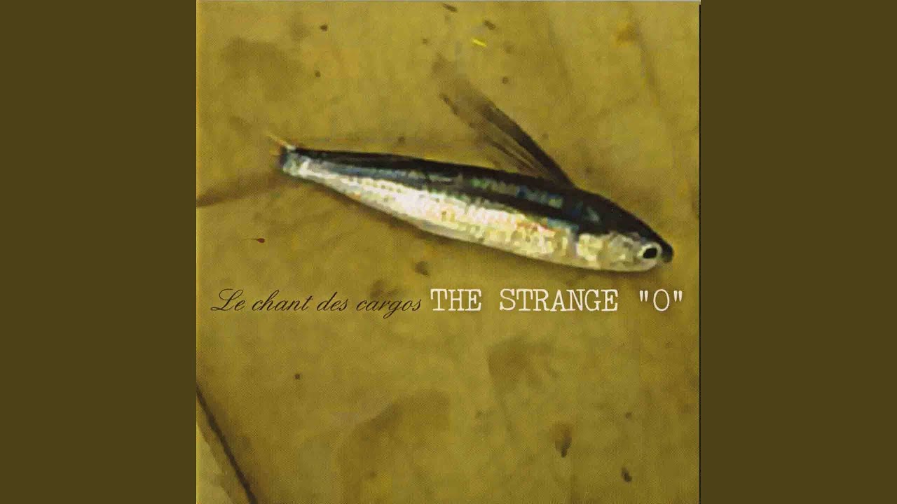 Rumba, boléros et chachachas... (Chanson)