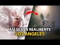 ESTA es la REAL APARIENCIA de Los ÁNGELES ¿CÓMO ES DIOS Y LOS ÁNGELES?