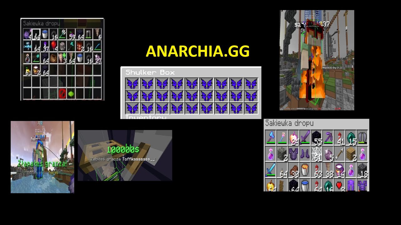 JAK ZABILEM 40 ELYTR NA ANARCHIA.GG