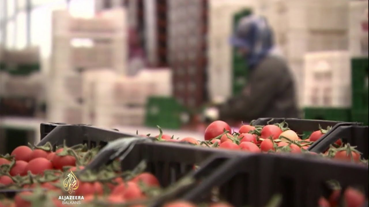 لا يزال المزارعون الأتراك يدفعون ثمن العقوبات الروسية