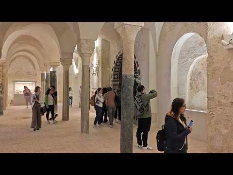 Video Gerace, il CAMPUS ITS Elaia alla scoperta della rigenerazione del borgo