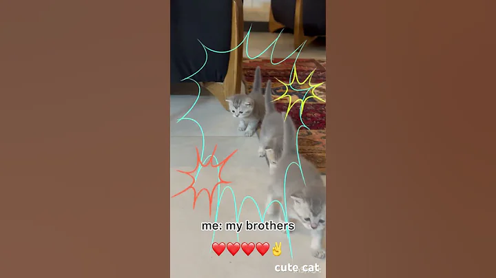 Watch the video about Me and my family ❤️ #cute #baby #birthday #brother #sisters #cat #funny