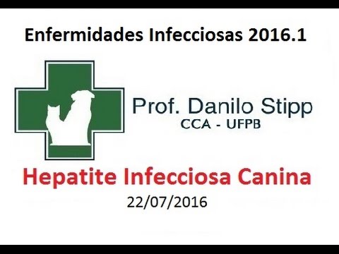 Vídeo: Adenovírus 1 Em Cães