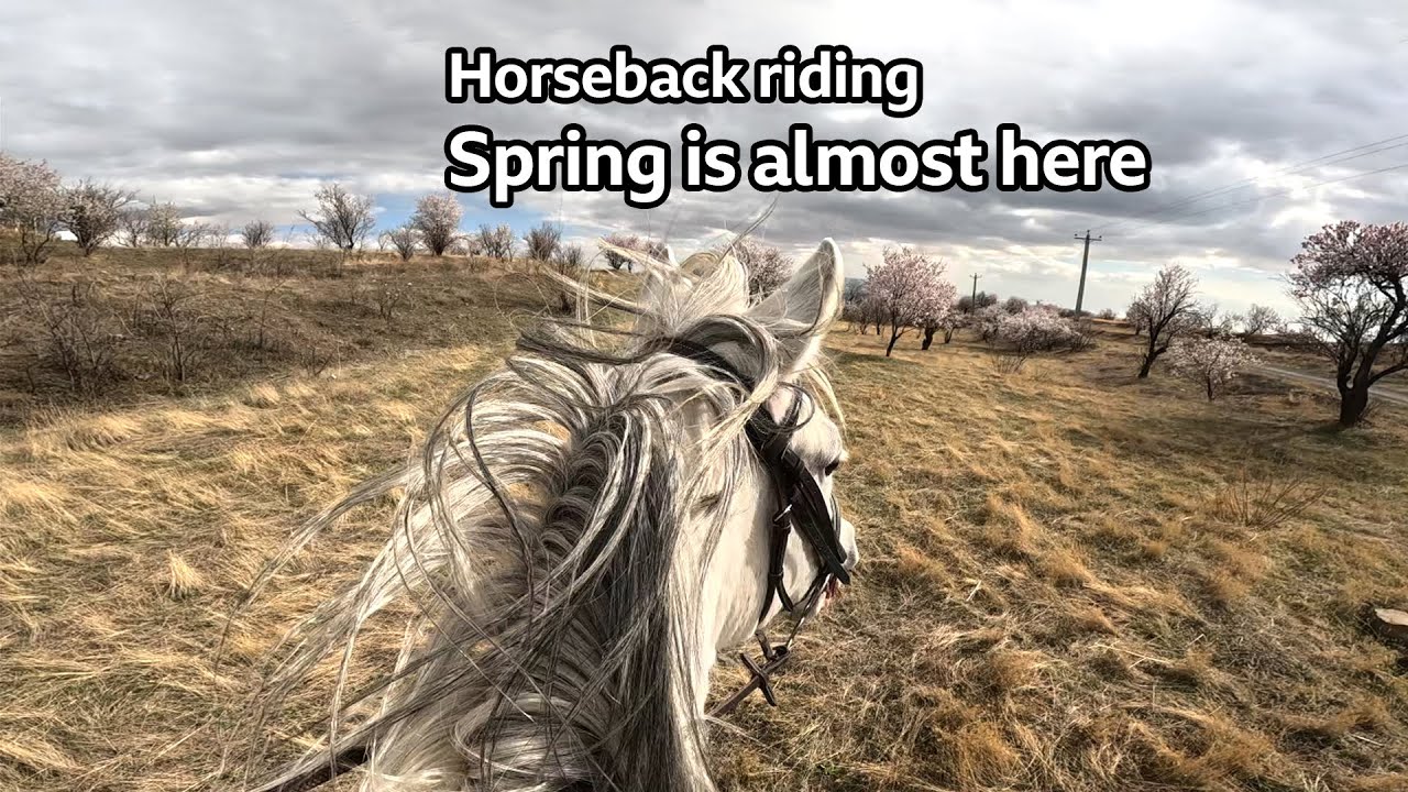 Horseback riding - Spring is almost here (blossoms are coming)