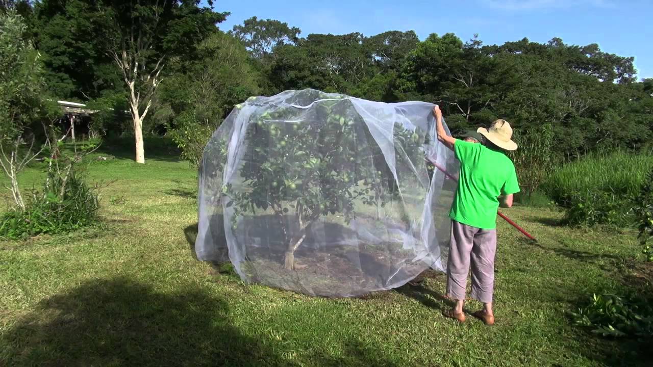 Wildlife friendly netting Fruitsaver net YouTube