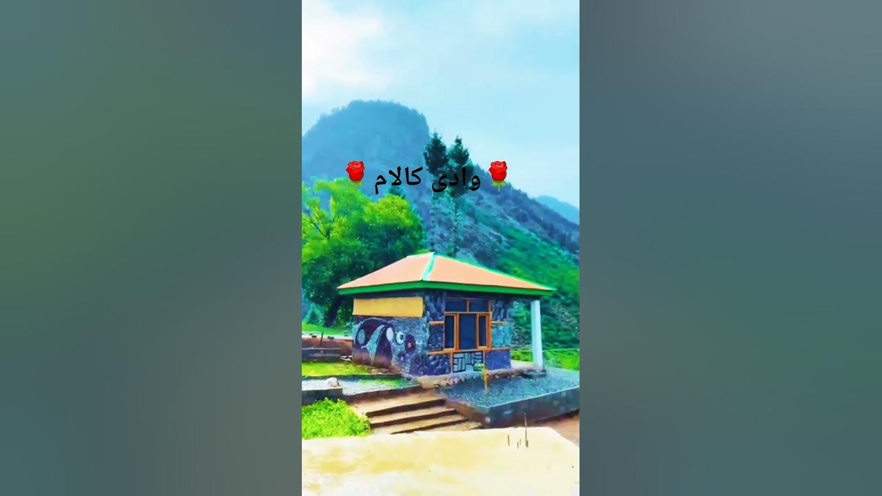 for you page viral video #song #music #apnabanaleremix #love #love #mountains #popularsong
