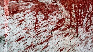 what we fear episode #2 top 5 most brutal killers