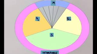 Cell Cycle Pie Chart