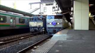 【貴重なコラボ】EF64-1041（原色）×カシオペア×E231系宇都宮線
