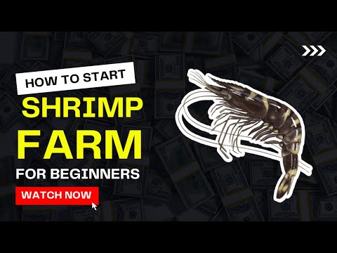 How to Start