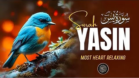 Surah Yasin (Yaseen) يس سورة | For Healing | Relieve Stress, Depression & Anxiety | Quran Ayat TV