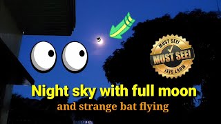 Night Sky with Full Moon and strange Bat flying