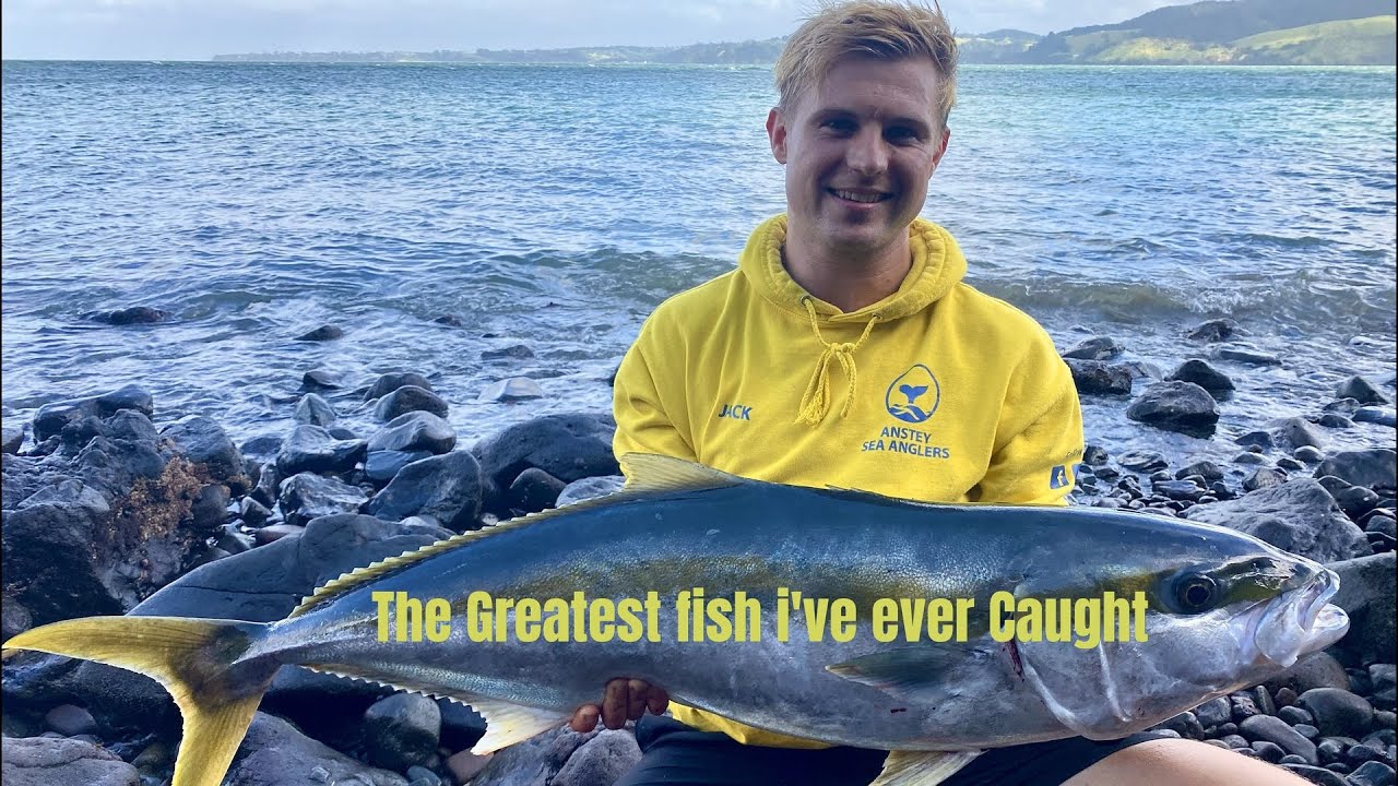 Огромная королевская рыба у скал!! Западный Окленд, Новая Зеландия. EPS 5.