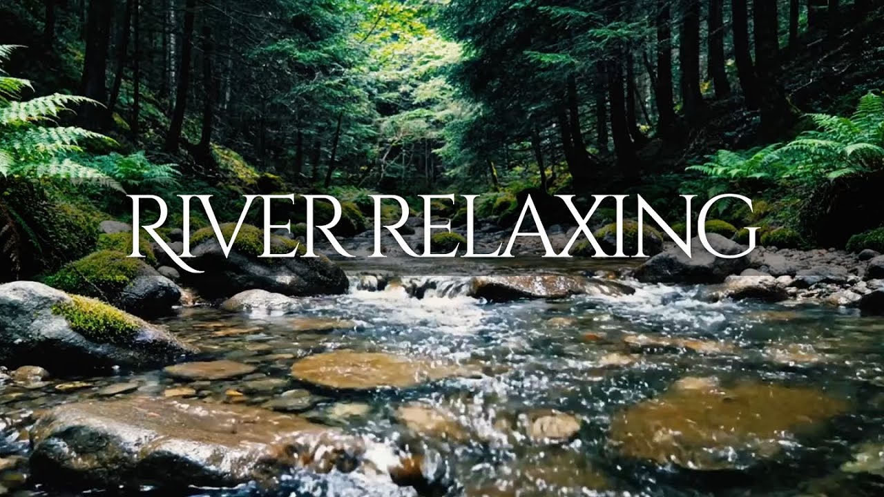 Gentle Forest Stream with Birds Song | Calming natural atmosphere for Focusing, Working and Studying