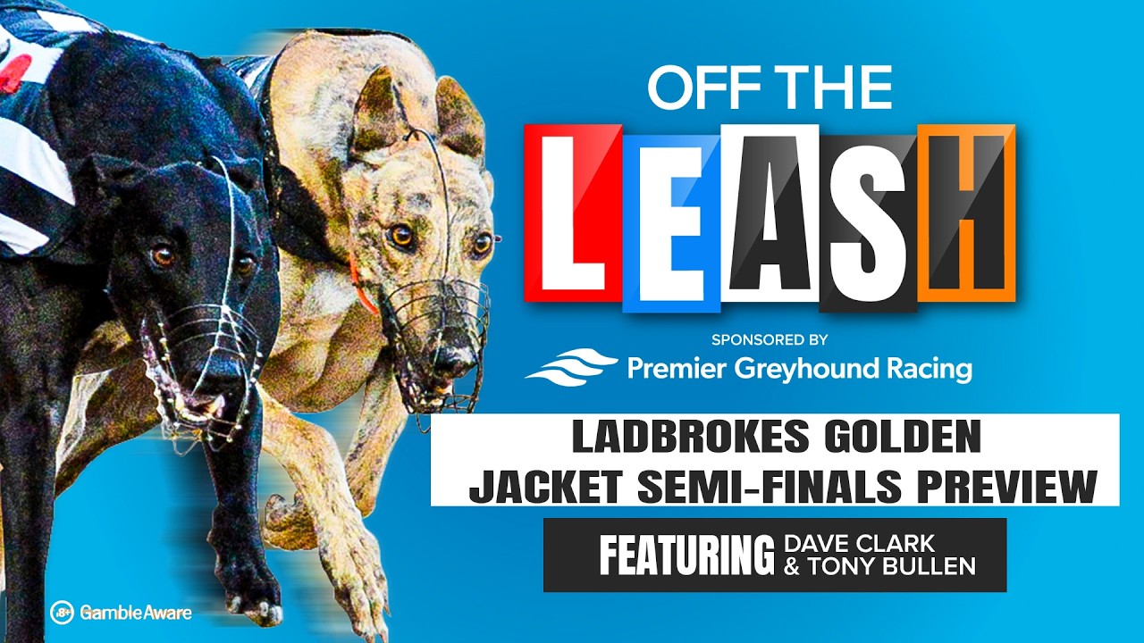 Ladbrokes Golden Jacket Semi - Finals Preview | Off The Leash | Greyhound Tips | Racing Post