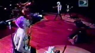 Red Hot Chili Peppers - Blackeyed Blonde (live)