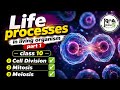 Class 10 ✅Life processes in living organism part 1 📌 Cell division 📚