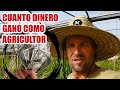 CUANTO DINERO GANO SIENDO AGRICULTOR