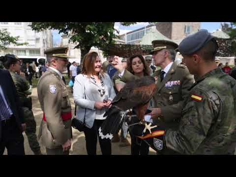 Pontevedra celebra el Día de las Fuerzas Armadas