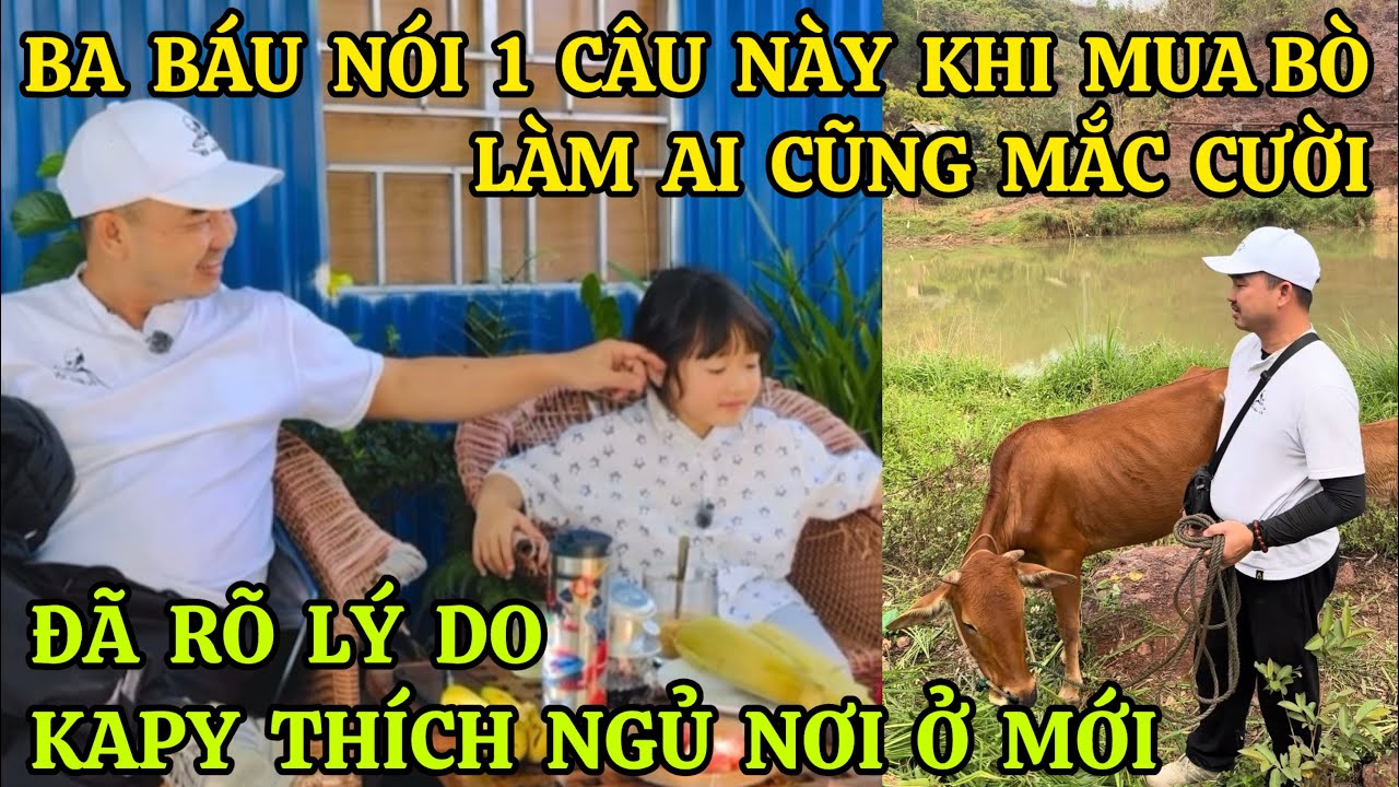 BA BÁU NÓI 1 CÂU NÀY KHI MUA BÒ LÀM AI CŨNG MẮC CƯỜI, ĐÃ RÕ LÝ DO BÉ KAPY TANGO THÍCH NGỦ NƠI Ở MỚI
