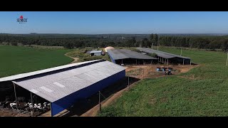 Progressive Leite em ação na Fazenda Real!