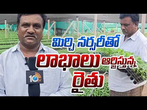 Chilli Nursery Farming | మిర్చి నర్సరీతో లాభాలు ఆర్జిస్తున్న రైతు | Real Farmer Success Story | 10TV - 10TVNEWSTELUGU