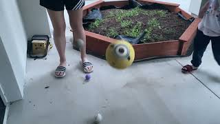 LU06 - 3 Bouncing Balls Video Reference Assignment- Andrea Houng Net Worth