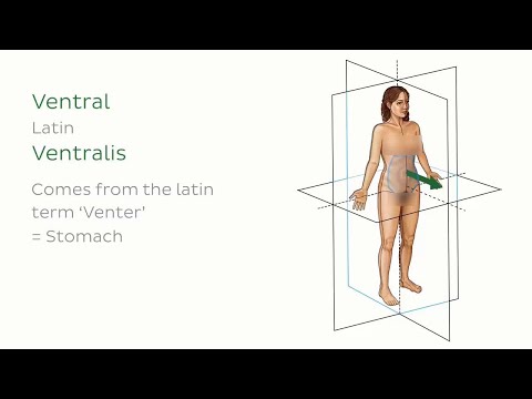 Vidéo: Nomenclature Anatomique - Glossaire Des Termes Médicaux