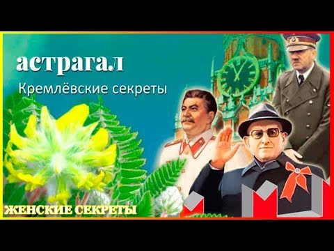 Астрагал -Трава Жизни Кремлевских Вождей! Лечит почти Все Болезни! Кремлевские Секреты Раскрыты!