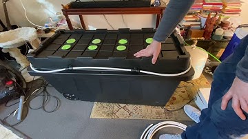 How I make a TrueHPA aeroponic root chamber using a storage box. Aeroponic grow chamber only.
