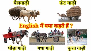 बैलगाड़ी ऊंटगाड़ी घोड़ागाड़ी गधागाड़ी को English में क्या कहते  Daily use Words Meaning in English