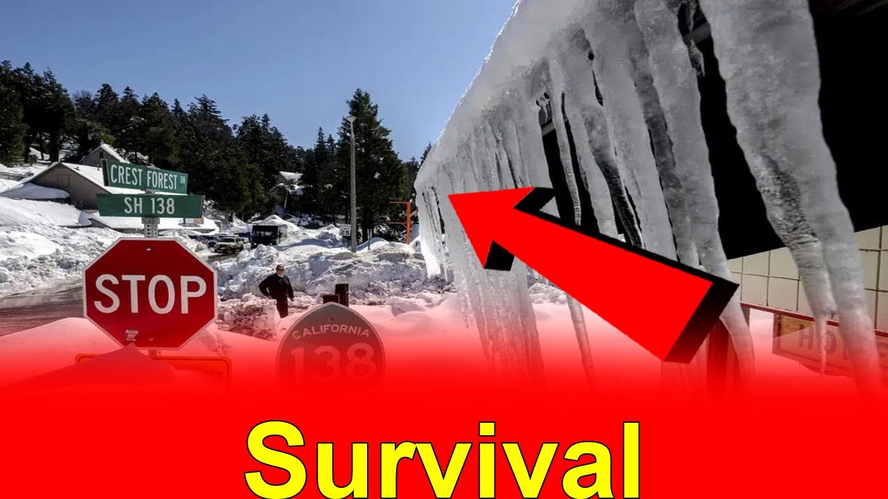 Snowed In Southern California Struggles to Survive After Epic Blizzard