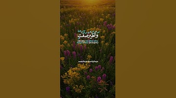 من أروع ما جاد به صوت الذهب.. تلاوة خاشعة تبعث السكينة – الشيخ عبدالباسط عبدالصمد