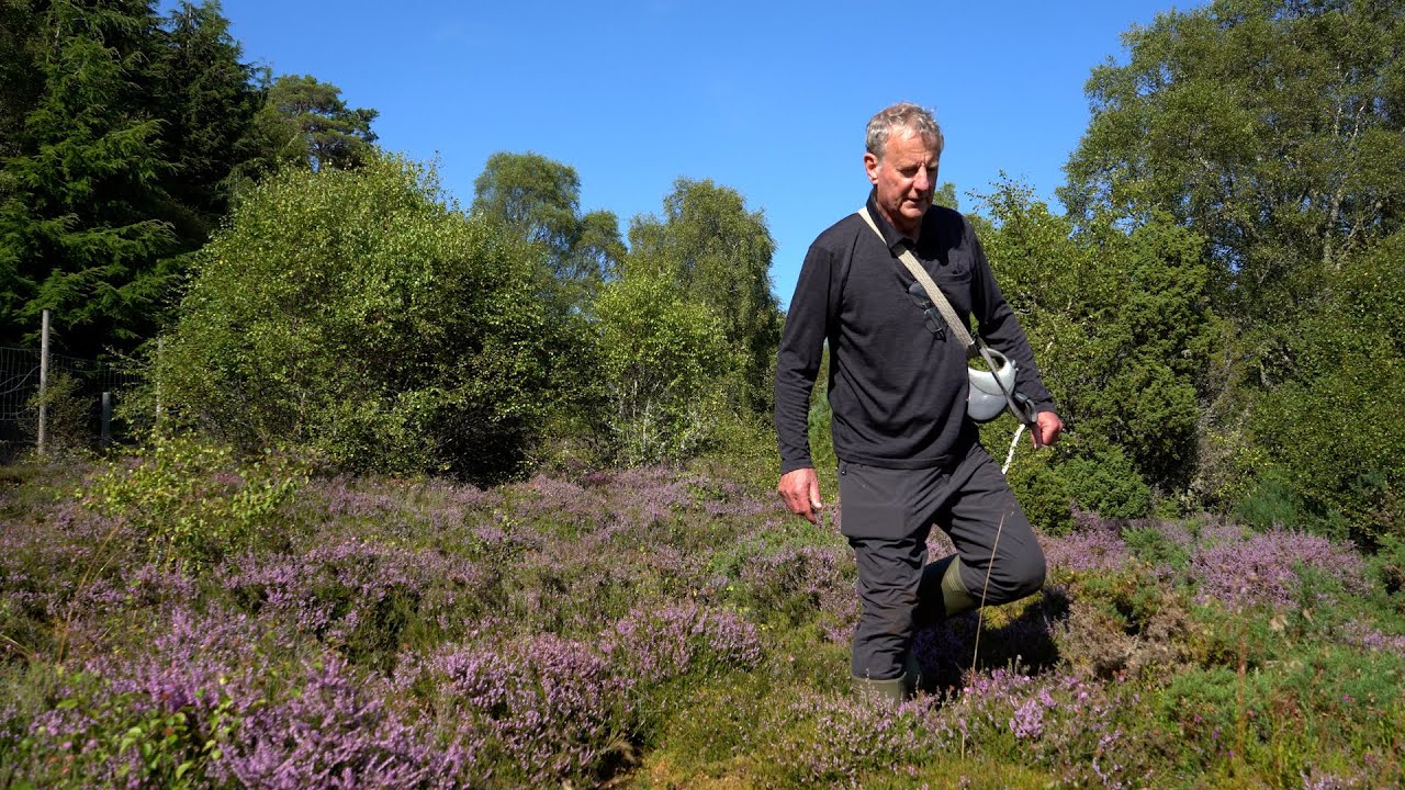 Highlands Rewilding - Introduction to the Business Plan