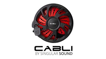 Singular Sound - CABLI: Cable Management Solution for Musicians