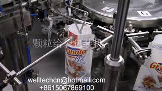 WT8-200 Multi-functional Automatic Premade Stand Up Pouch Bag Filling Packing Machines