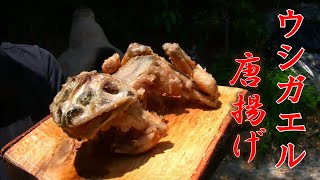 特定外来生物ウシガエルを唐揚げにして食べたら衝撃の味だった！