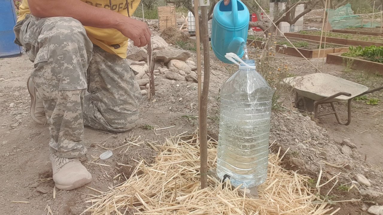 24_03_2024 Riego para árboles con botella grande