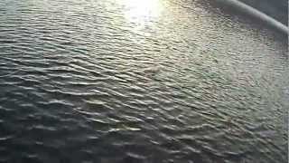 BASS FISHING IN ISTAN LAKE, MARBELLA, SPAIN