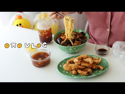 (ENG SUB) Embarrassed to call this a daily vlog, because all I did was eat VLOG 이제이레시피 EJ RECIPE