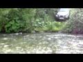off road valcea