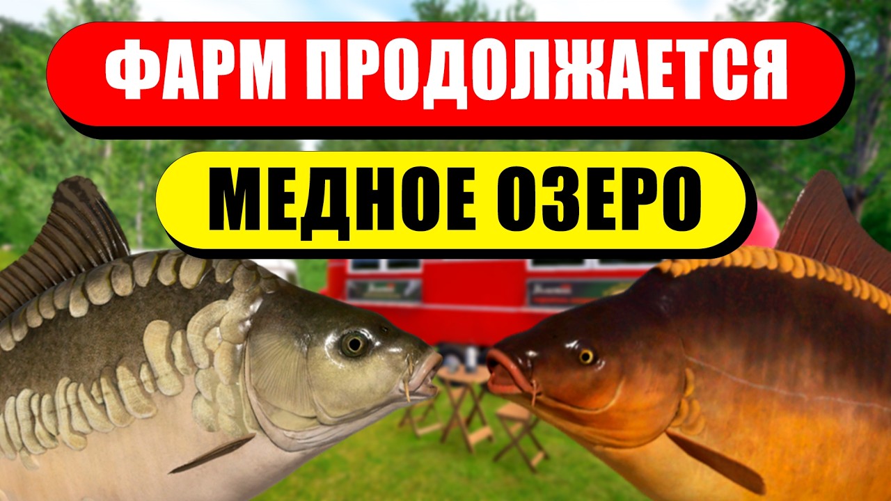 ПРОДОЛЖАЕТСЯ СТАБИЛЬНЫЙ ВЫСИД И ФАРМ НА МЕДНОМ ОЗЕРЕ! • Русская Рыбалка 4 РР4