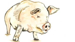 The Pig by Roald Dahl