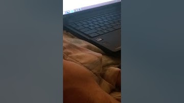 How to unlock a HTC Desire 610 from AT&T