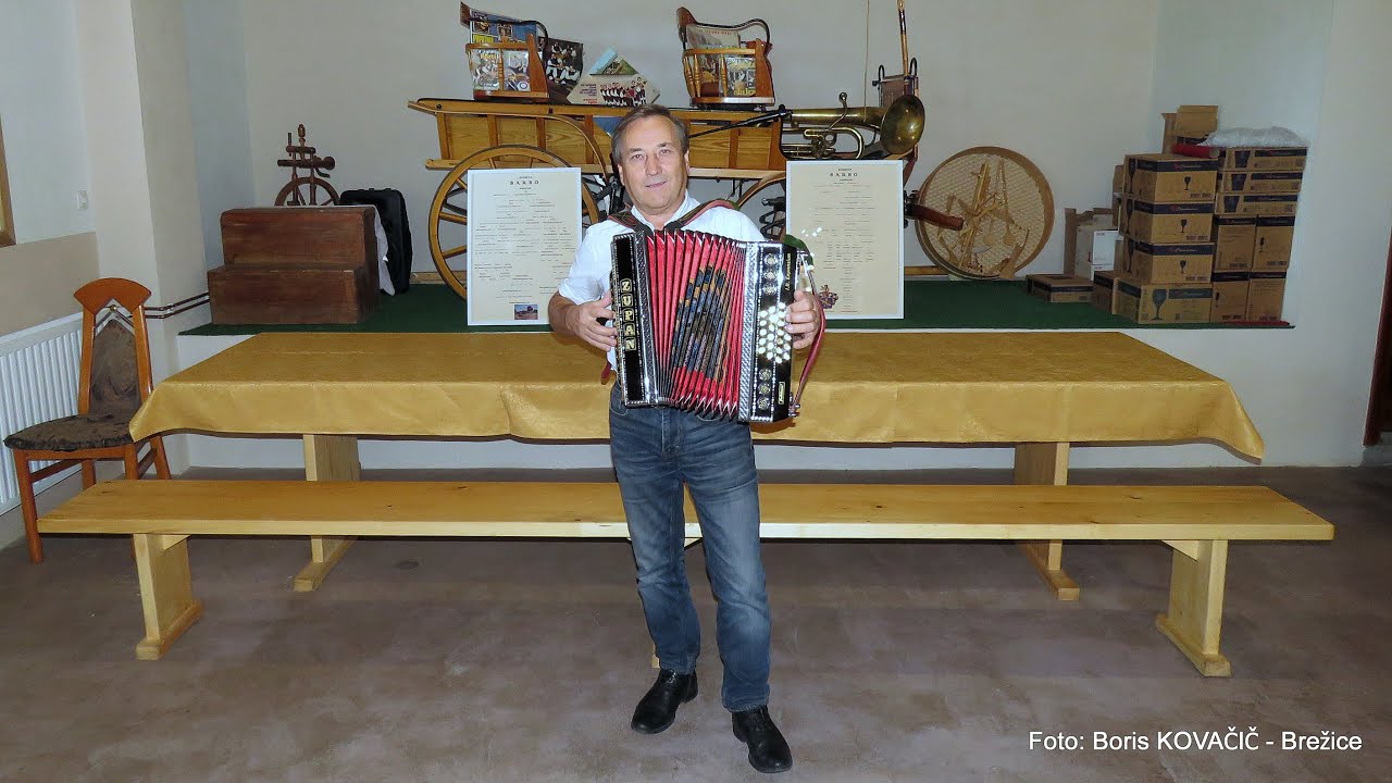 Brane Mešl - Vaški godec (v živo)